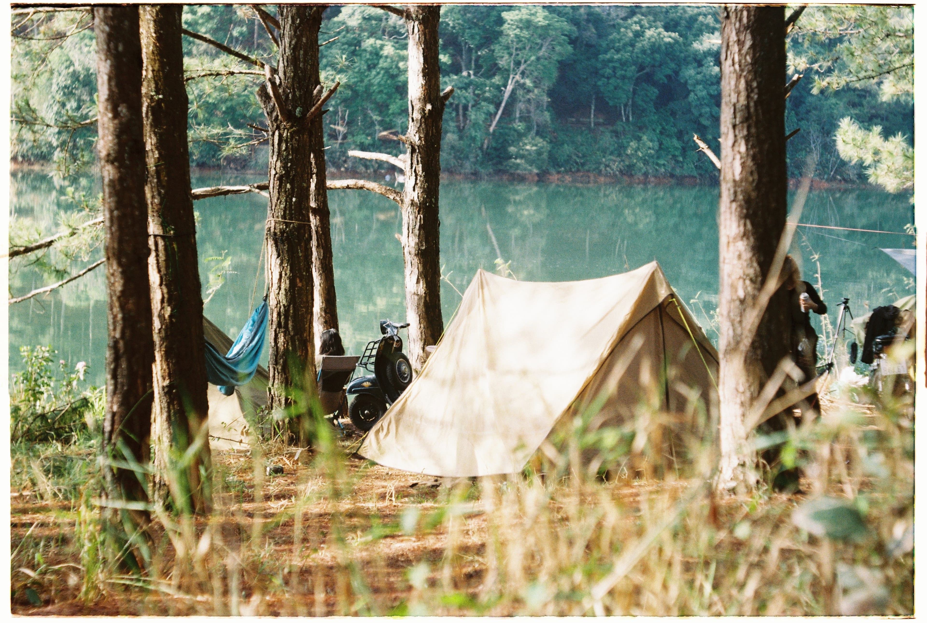 Peaceful campsite surrounded by trees