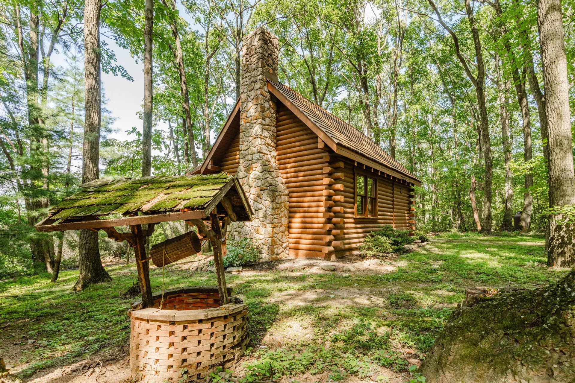 Cabin in the woods