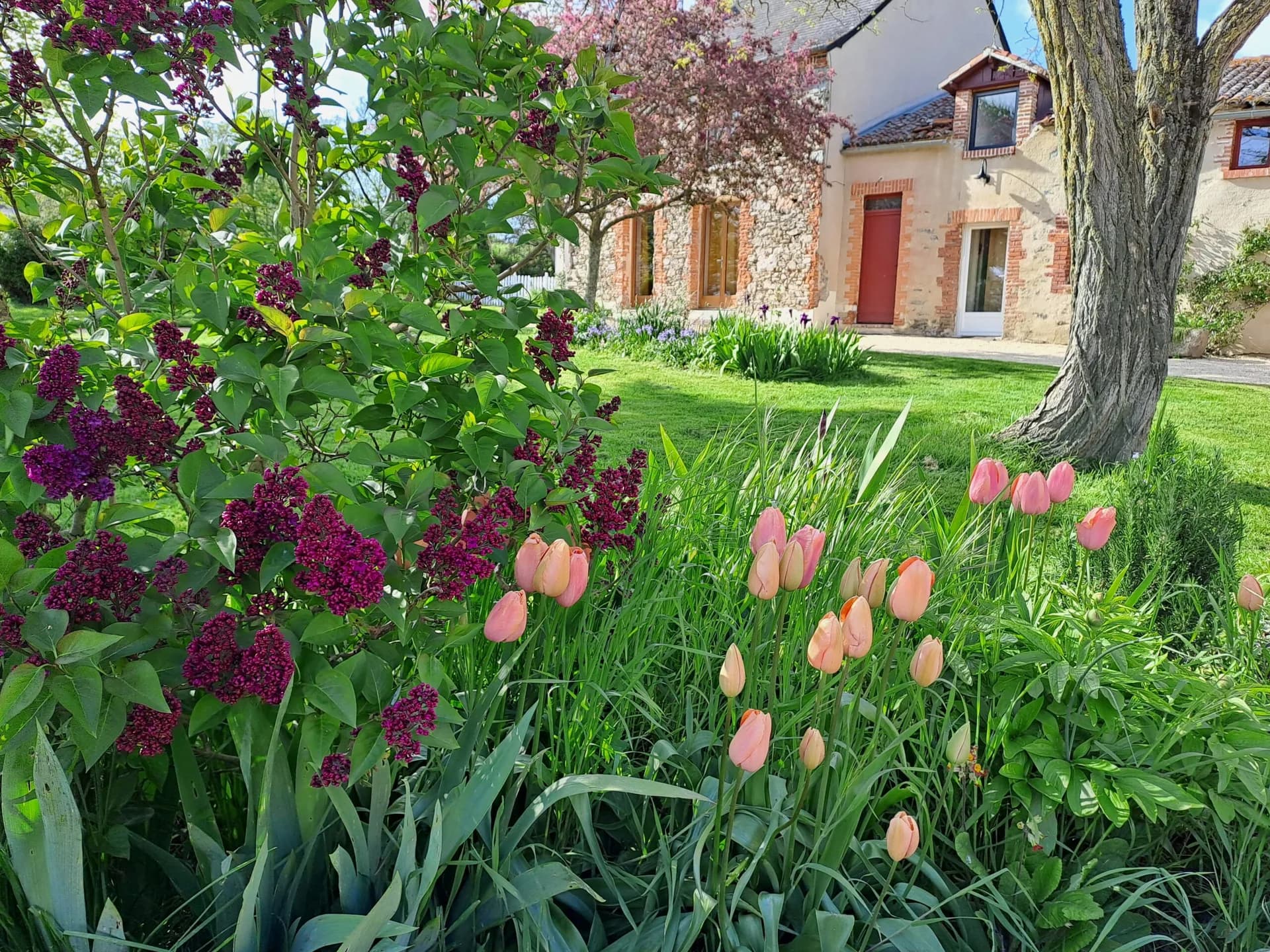 La Gaucherie aux Dames